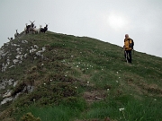 Giro ad anello MONTI VINDIOLO (2056 m.) e VETRO (2054 m.) salendo da ZORZONE-PIAN BRACCA (1122 m.) - FOTOGALLERY